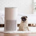 Installing an Air Purifying Ionizer Outdoors: What You Need to Know
