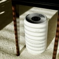 What Type of Air Ionizer Should I Install? - A Comprehensive Guide