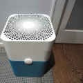What are the Benefits and Risks of Installing an Air Ionizer?