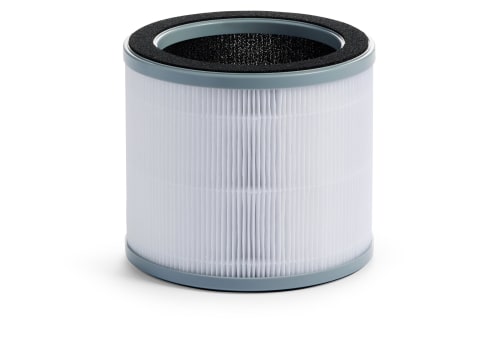 What Type of Filter Should I Use with an Air Ionizer?